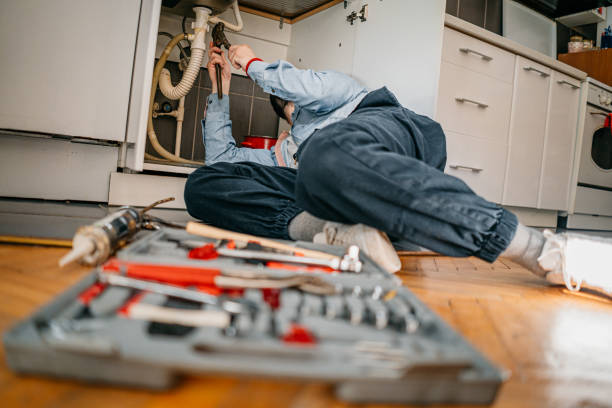 Best Local Plumber Services  in Port Allegany, PA