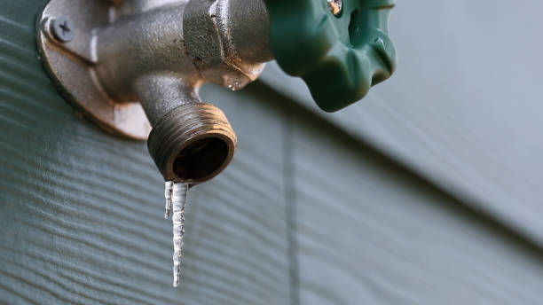 Best Plumbing Services Near Me  in Port Allegany, PA